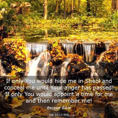 Picture 03 - Job 14:13 BSB - If only You would hide me in Sheol and conceal me - Bible Verse Picture