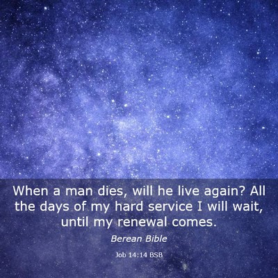 Picture 03 - Job 14:14 BSB - When a man dies, will he live again? All the days - Bible Verse Picture