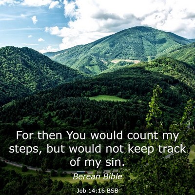 Picture 03 - Job 14:16 BSB - For then You would count my steps, but would not - Bible Verse Picture