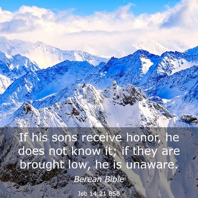Picture 03 - Job 14:21 BSB - If his sons receive honor, he does not know it; - Bible Verse Picture