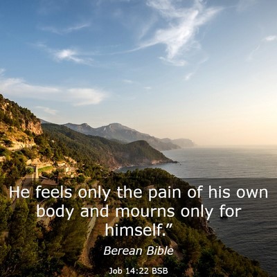 Picture 03 - Job 14:22 BSB - He feels only the pain of his own body and mourns - Bible Verse Picture