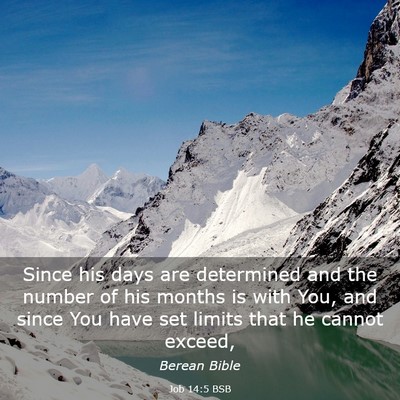 Picture 03 - Job 14:5 BSB - Since his days are determined and the number of - Bible Verse Picture