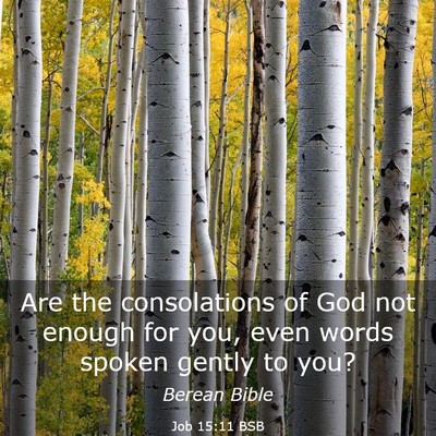 Picture 03 - Job 15:11 BSB - Are the consolations of God not enough for you, - Bible Verse Picture