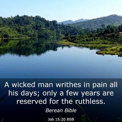 Picture 03 - Job 15:20 BSB - A wicked man writhes in pain all his days; only a - Bible Verse Picture