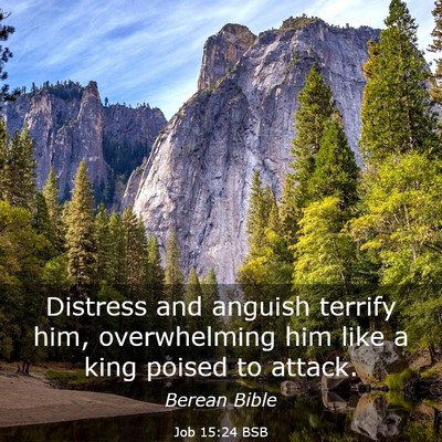 Picture 03 - Job 15:24 BSB - Distress and anguish terrify him, overwhelming - Bible Verse Picture