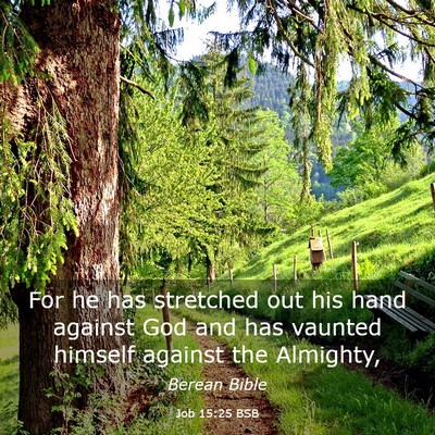 Picture 03 - Job 15:25 BSB - For he has stretched out his hand against God and - Bible Verse Picture