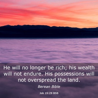 Picture 03 - Job 15:29 BSB - He will no longer be rich; his wealth will not - Bible Verse Picture