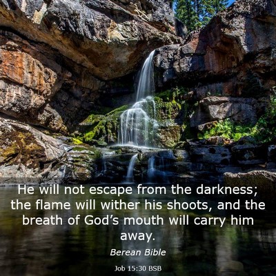 Picture 03 - Job 15:30 BSB - He will not escape from the darkness; the flame - Bible Verse Picture