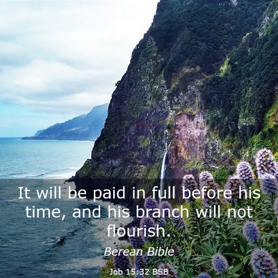 Picture 03 - Job 15:32 BSB - It will be paid in full before his time, and his - Bible Verse Picture