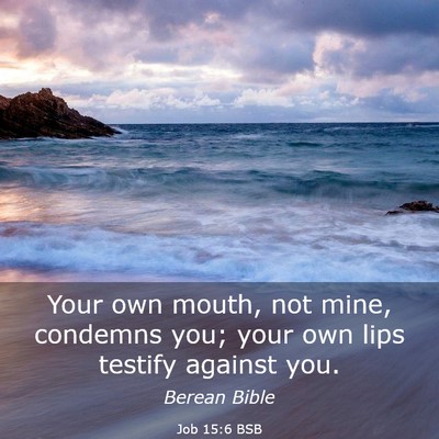 Picture 03 - Job 15:6 BSB - Your own mouth, not mine, condemns you; your own - Bible Verse Picture