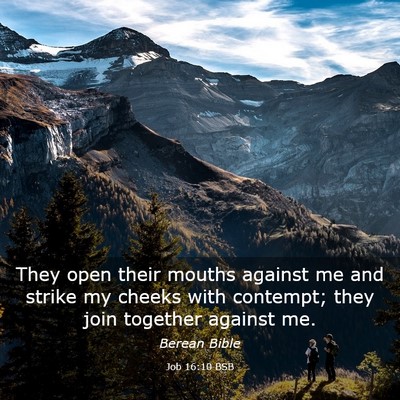Picture 03 - Job 16:10 BSB - They open their mouths against me and strike my - Bible Verse Picture