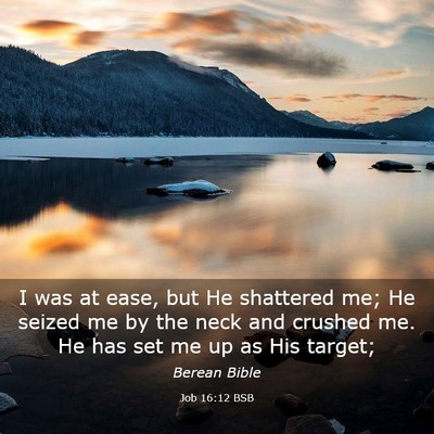 Picture 03 - Job 16:12 BSB - I was at ease, but He shattered me; He seized me - Bible Verse Picture