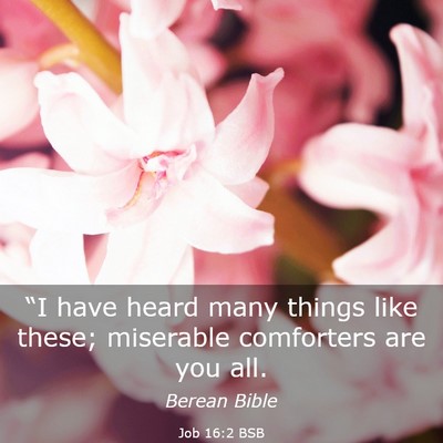 Picture 03 - Job 16:2 BSB - “I have heard many things like these; miserable - Bible Verse Picture