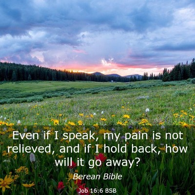 Picture 03 - Job 16:6 BSB - Even if I speak, my pain is not relieved, and if - Bible Verse Picture
