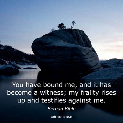 Picture 03 - Job 16:8 BSB - You have bound me, and it has become a witness; - Bible Verse Picture