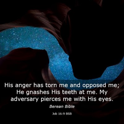 Picture 03 - Job 16:9 BSB - His anger has torn me and opposed me; He gnashes - Bible Verse Picture
