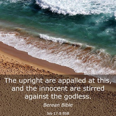 Picture 03 - Job 17:8 BSB - The upright are appalled at this, and the - Bible Verse Picture