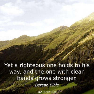 Picture 03 - Job 17:9 BSB - Yet a righteous one holds to his way, and the one - Bible Verse Picture