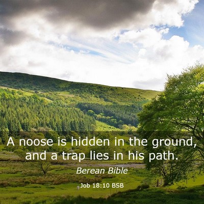 Picture 03 - Job 18:10 BSB - A noose is hidden in the ground, and a trap lies - Bible Verse Picture