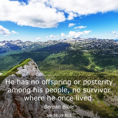 Picture 03 - Job 18:19 BSB - He has no offspring or posterity among his - Bible Verse Picture