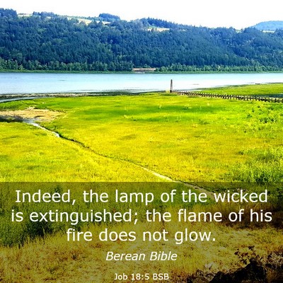 Picture 03 - Job 18:5 BSB - Indeed, the lamp of the wicked is extinguished; - Bible Verse Picture