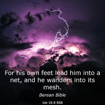 Picture 03 - Job 18:8 BSB - For his own feet lead him into a net, and he - Bible Verse Picture