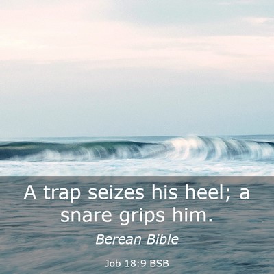 Picture 03 - Job 18:9 BSB - A trap seizes his heel; a snare grips - Bible Verse Picture