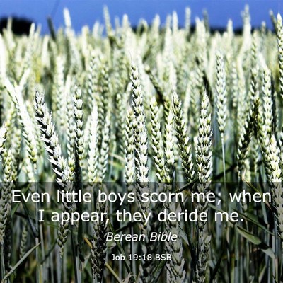 Picture 03 - Job 19:18 BSB - Even little boys scorn me; when I appear, they - Bible Verse Picture