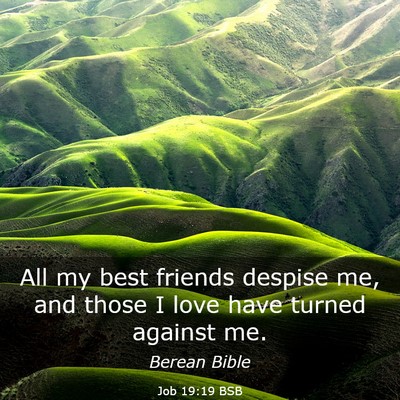 Picture 03 - Job 19:19 BSB - All my best friends despise me, and those I love - Bible Verse Picture