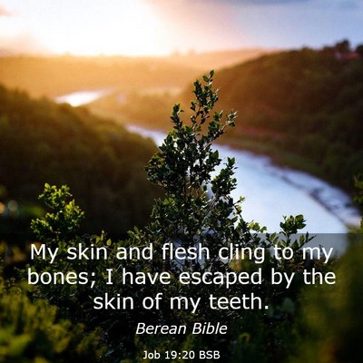 Picture 03 - Job 19:20 BSB - My skin and flesh cling to my bones; I have - Bible Verse Picture