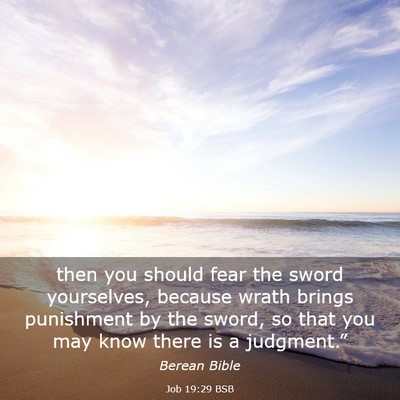 Picture 03 - Job 19:29 BSB - then you should fear the sword yourselves, - Bible Verse Picture