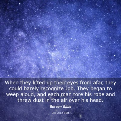 Picture 03 - Job 2:12 BSB - When they lifted up their eyes from afar, they - Bible Verse Picture