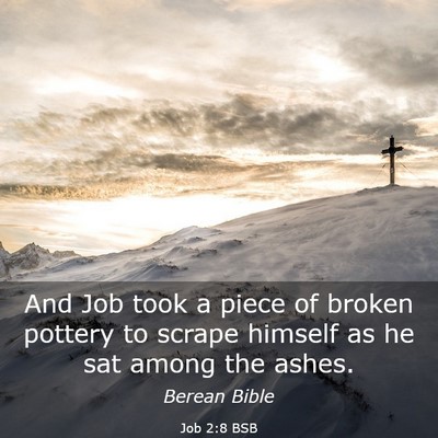 Picture 03 - Job 2:8 BSB - And Job took a piece of broken pottery to scrape - Bible Verse Picture