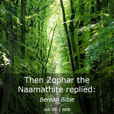 Picture 03 - Job 20:1 BSB - Then Zophar the Naamathite - Bible Verse Picture