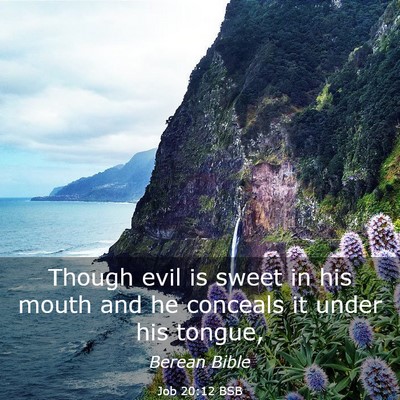 Picture 03 - Job 20:12 BSB - Though evil is sweet in his mouth and he conceals - Bible Verse Picture