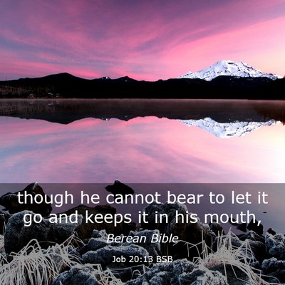 Picture 03 - Job 20:13 BSB - though he cannot bear to let it go and keeps it - Bible Verse Picture