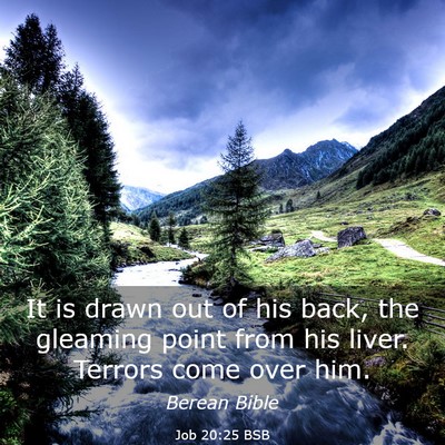 Picture 03 - Job 20:25 BSB - It is drawn out of his back, the gleaming point - Bible Verse Picture