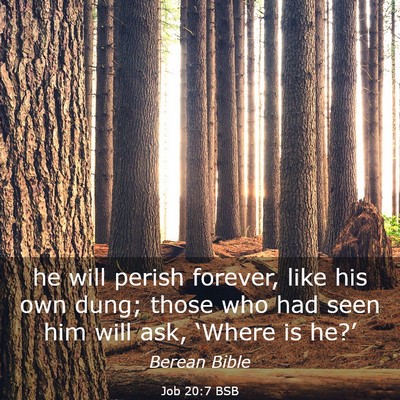 Picture 03 - Job 20:7 BSB - he will perish forever, like his own dung; those - Bible Verse Picture