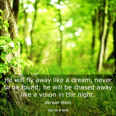Picture 03 - Job 20:8 BSB - He will fly away like a dream, never to be found; - Bible Verse Picture
