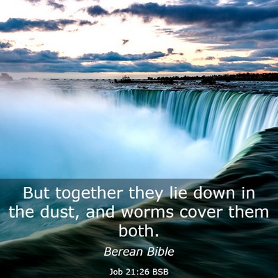 Picture 03 - Job 21:26 BSB - But together they lie down in the dust, and worms - Bible Verse Picture