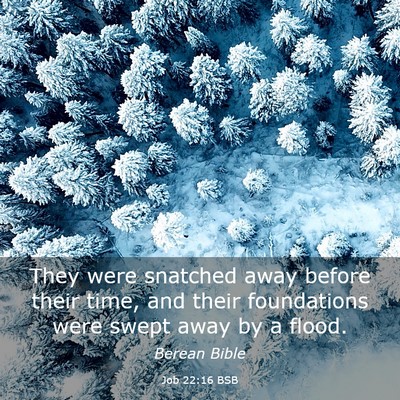 Picture 03 - Job 22:16 BSB - They were snatched away before their time, and - Bible Verse Picture