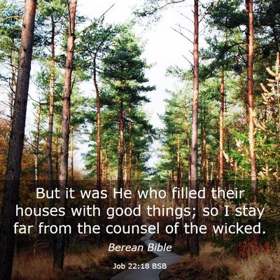 Picture 03 - Job 22:18 BSB - But it was He who filled their houses with good - Bible Verse Picture