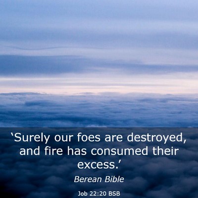 Picture 03 - Job 22:20 BSB - ‘Surely our foes are destroyed, and fire has - Bible Verse Picture