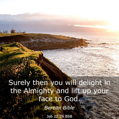 Picture 03 - Job 22:26 BSB - Surely then you will delight in the Almighty and - Bible Verse Picture