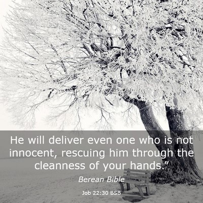 Picture 03 - Job 22:30 BSB - He will deliver even one who is not innocent, - Bible Verse Picture