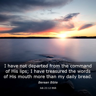Picture 03 - Job 23:12 BSB - I have not departed from the command of His lips; - Bible Verse Picture