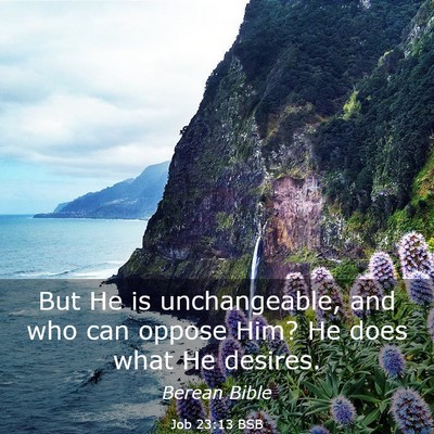Picture 03 - Job 23:13 BSB - But He is unchangeable, and who can oppose Him? - Bible Verse Picture