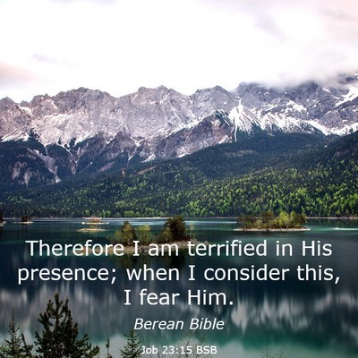 Picture 03 - Job 23:15 BSB - Therefore I am terrified in His presence; when I - Bible Verse Picture