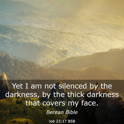 Picture 03 - Job 23:17 BSB - Yet I am not silenced by the darkness, by the - Bible Verse Picture