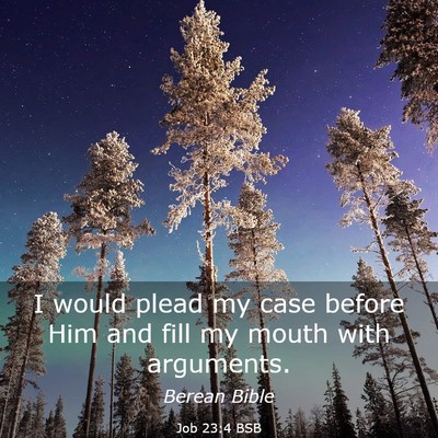 Picture 03 - Job 23:4 BSB - I would plead my case before Him and fill my - Bible Verse Picture